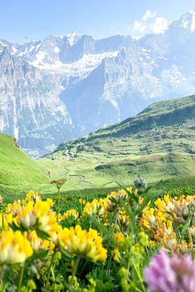 Switzerland