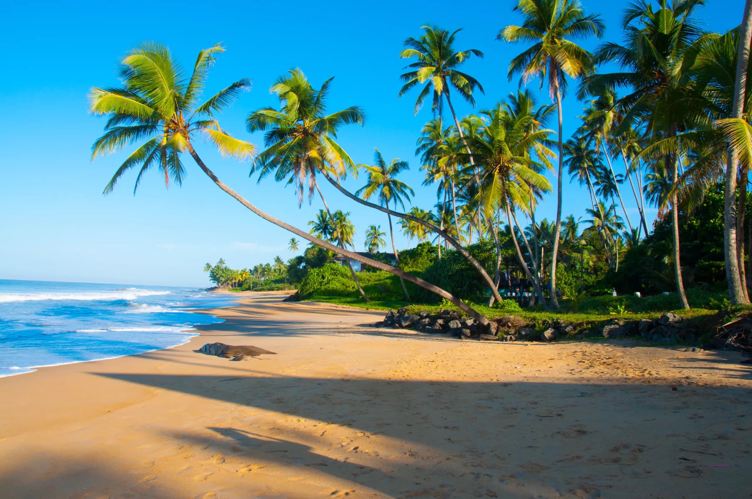 Top Beach Destinations